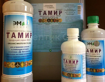 тамир